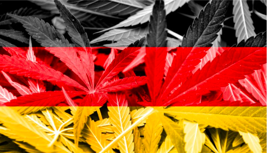 Screen Shot 2020-02-18 at 9.28.16 AM